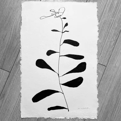 Études Botaniques 18, 11.5x17 India ink on deckled edge watercolor paper, by Michele Zuzalek
